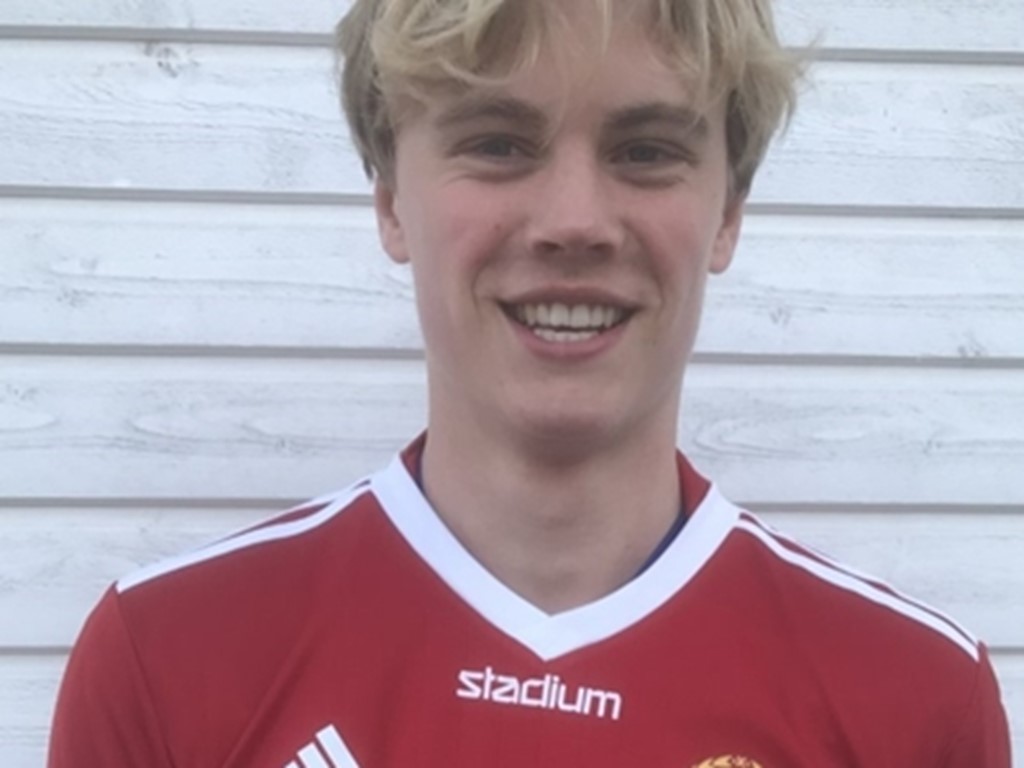 Emil Friberg, Alnö IF.