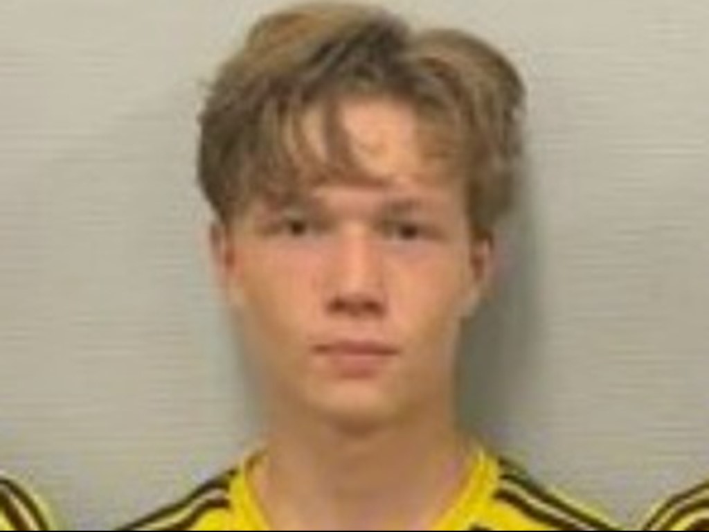 Albin Bång, Kuben.