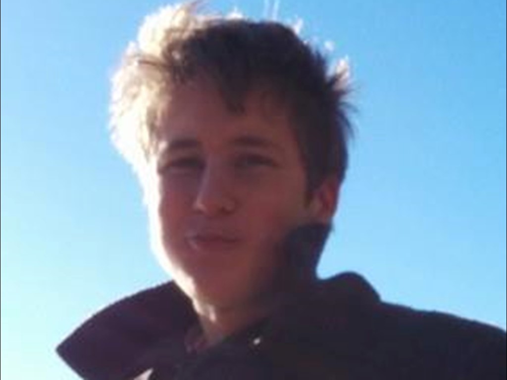 Emil Palmqvist, Nedansjö IK.